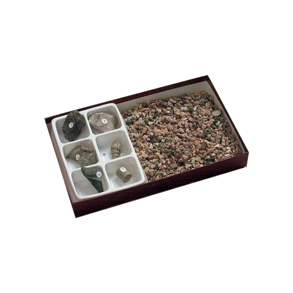 kit de caza de fósiles