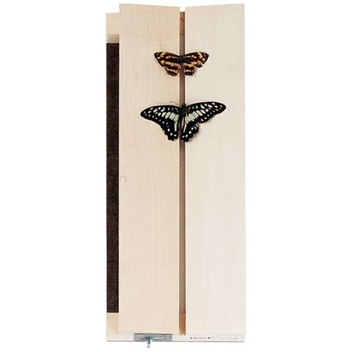 Tablero De Extensión O Fijación De Insectos - Imagen 2