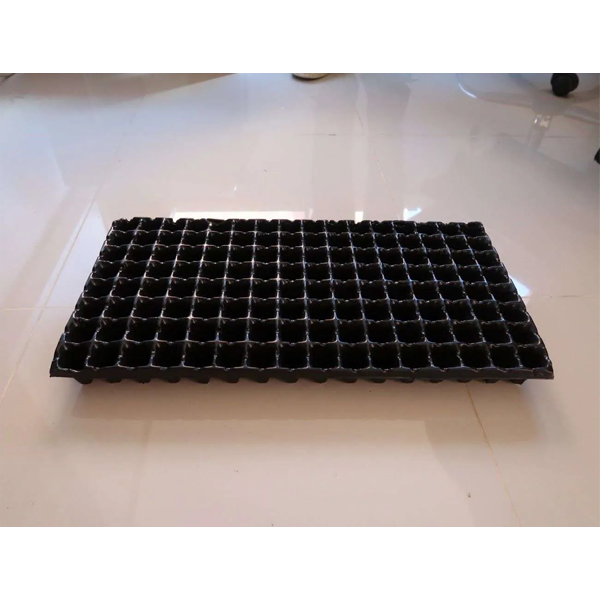 Bandejas Germinadoras Forestales Para Semillas O Plantulacion De 128 Cavidades - Imagen 2