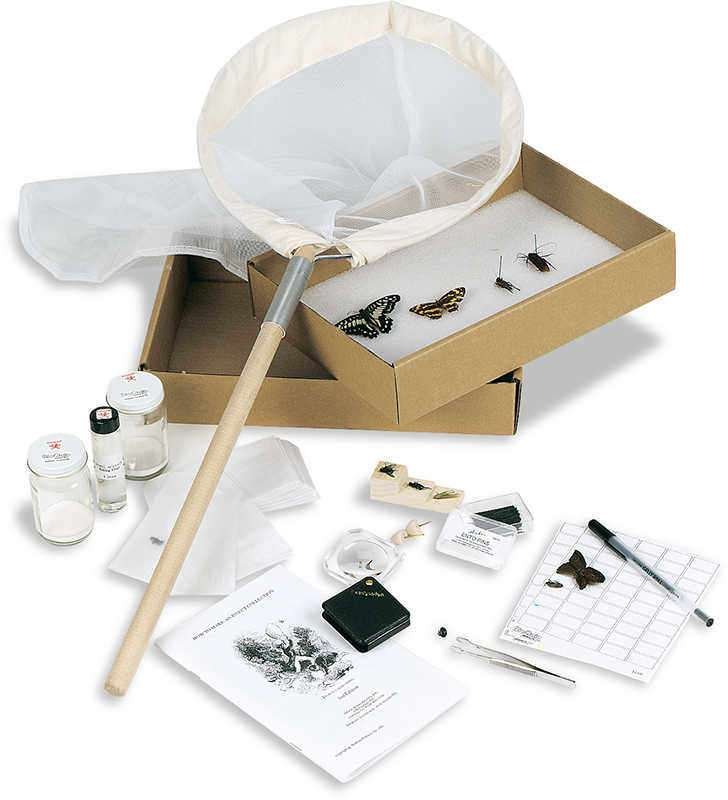 Kit De Recolección Y Fijación De Insectos Para Estudiante - Imagen 2
