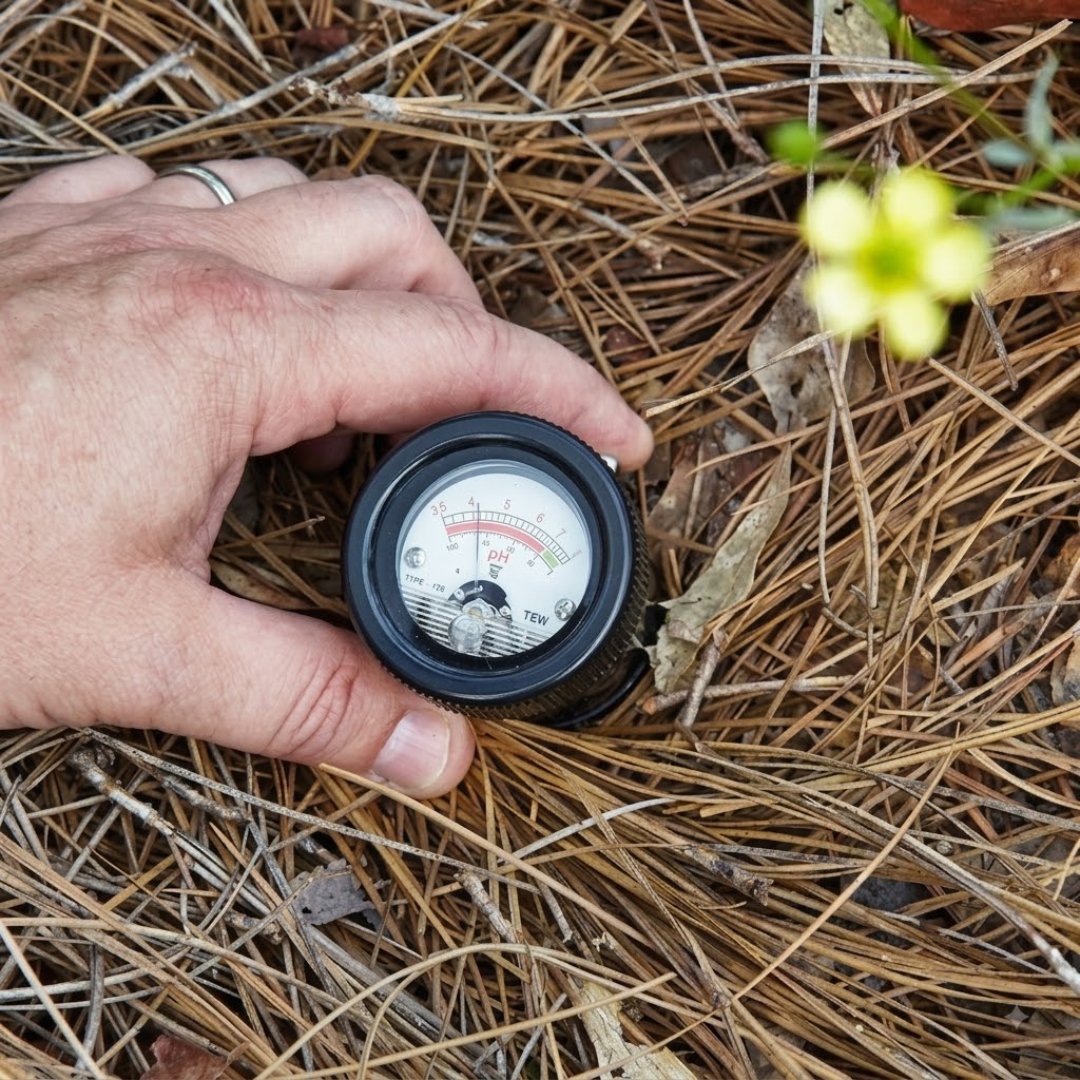 Medidor pH Humedad Kelway para evaluar acidez y humedad del suelo. Ideal para agricultura, análisis de suelos, investigación y monitoreo ambiental.
