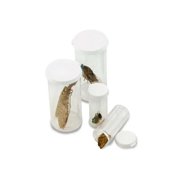 Tubos De Plastico Para Insectos