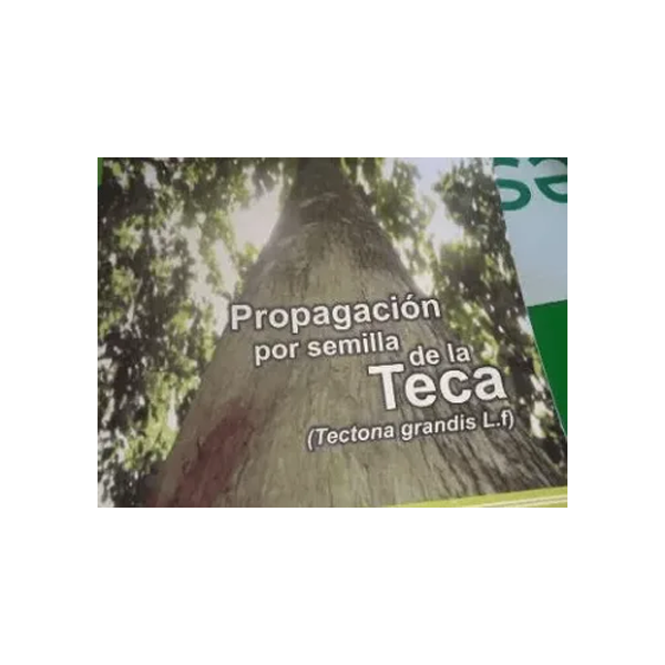 Propagación Por Semilla De La Teca