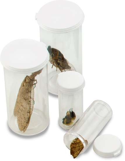 Tubos De Plastico Para Insectos - Imagen 2