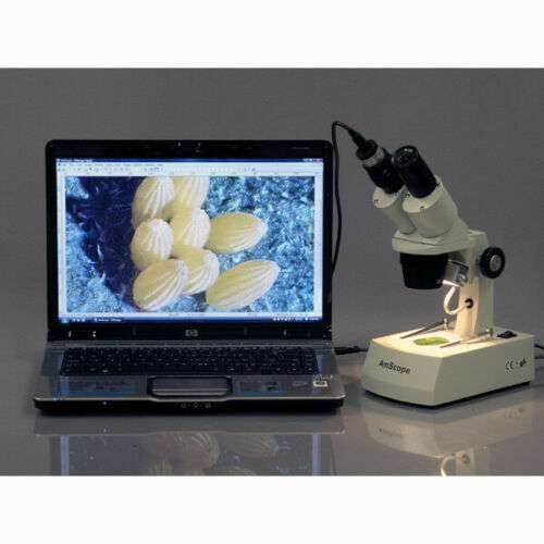 Cámara Microscopio Usb Amscope 5.0 Mp Usb Md500 Video - Imagen 3
