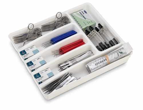 Kit De Disección Entomológico Para Clases