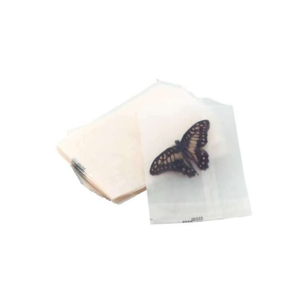 Sobres Glassine Brillantes Entomología