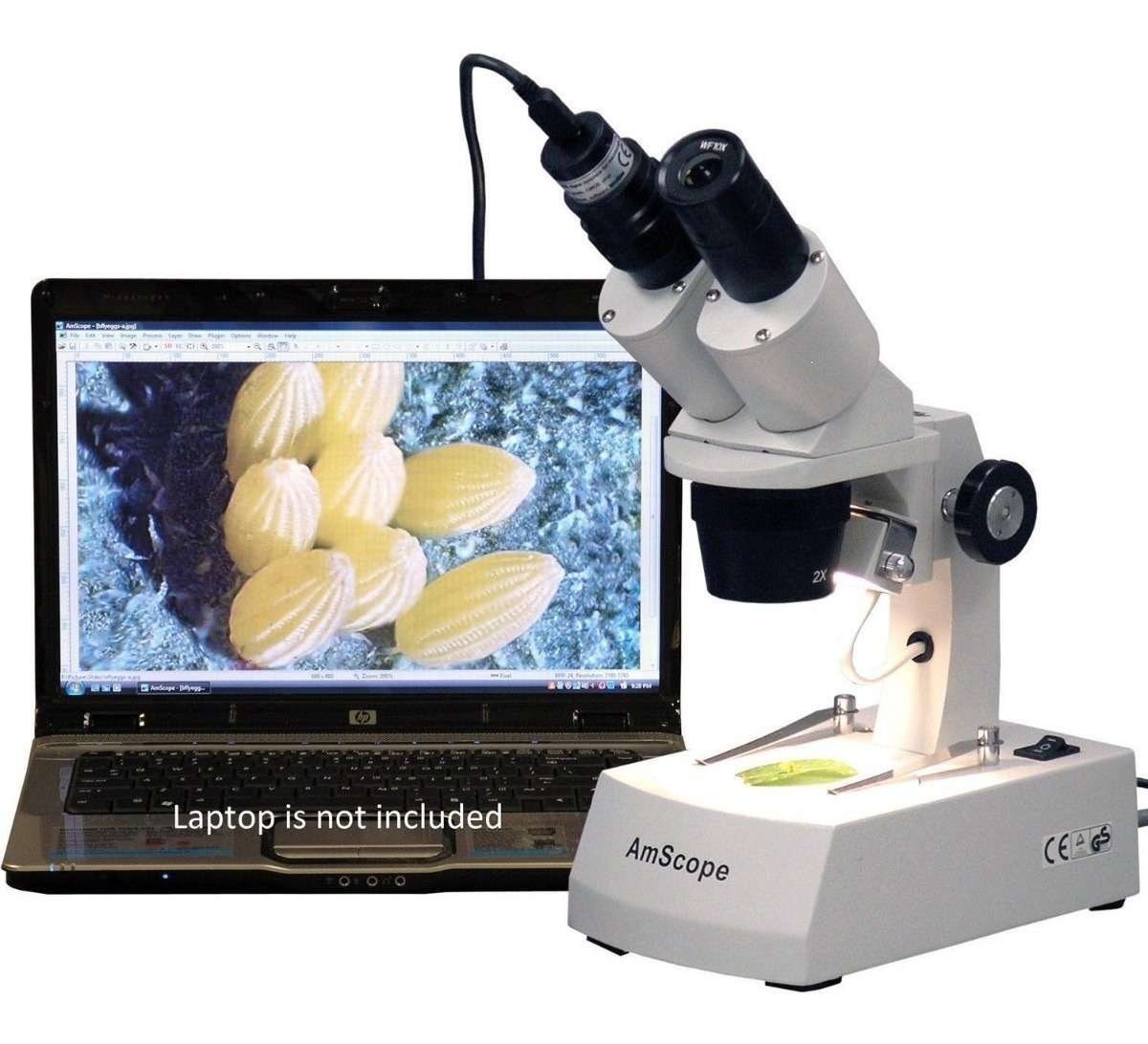 Microscopio Estéreo Amscope 20x-40x-80x - Imagen 3