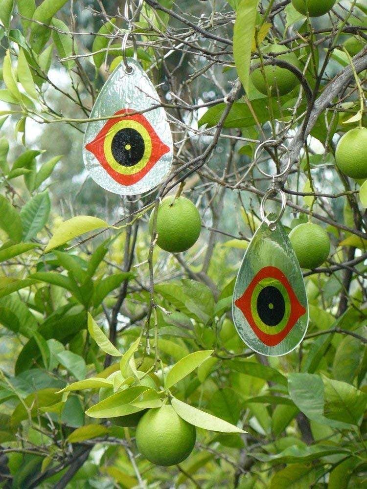 Ojo Ahuyentador Aves Pájaros Llavero - Imagen 4