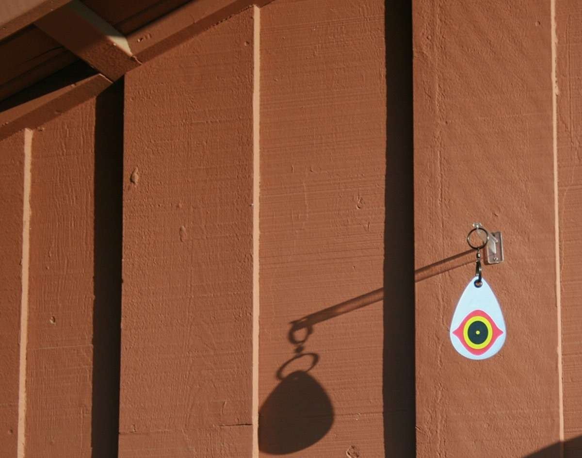 Ojo Ahuyentador Aves Pájaros Llavero - Imagen 6