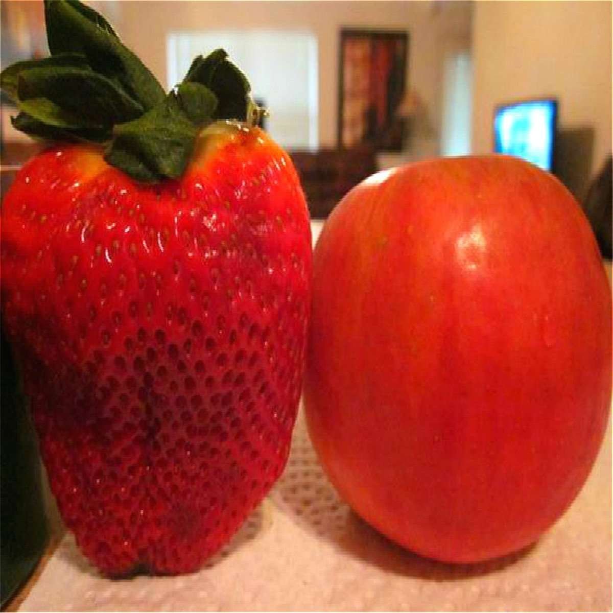 Semilla Fresa Roja Gigante - Imagen 3