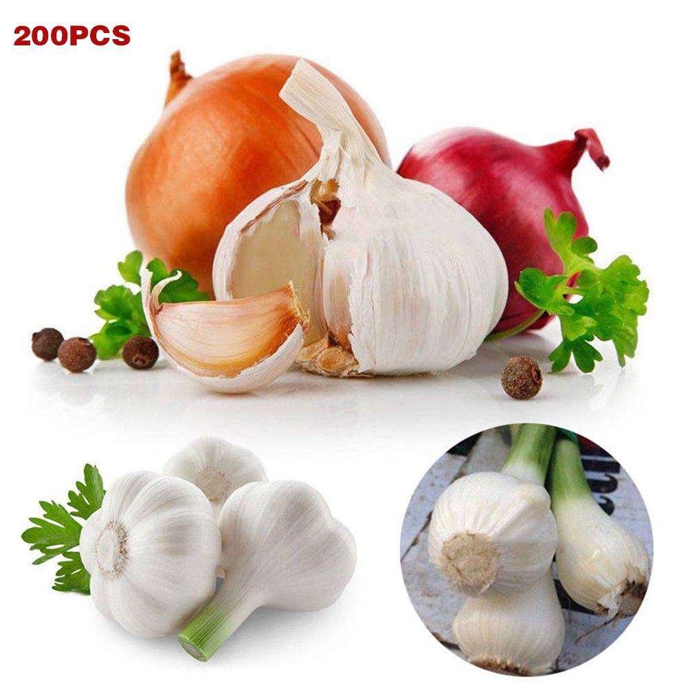 Semilla De Ajo Gigante X 200 - Imagen 4