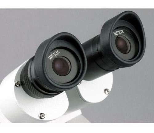 Microscopio Estéreo Amscope 20x-40x SE304R-P - Imagen 2
