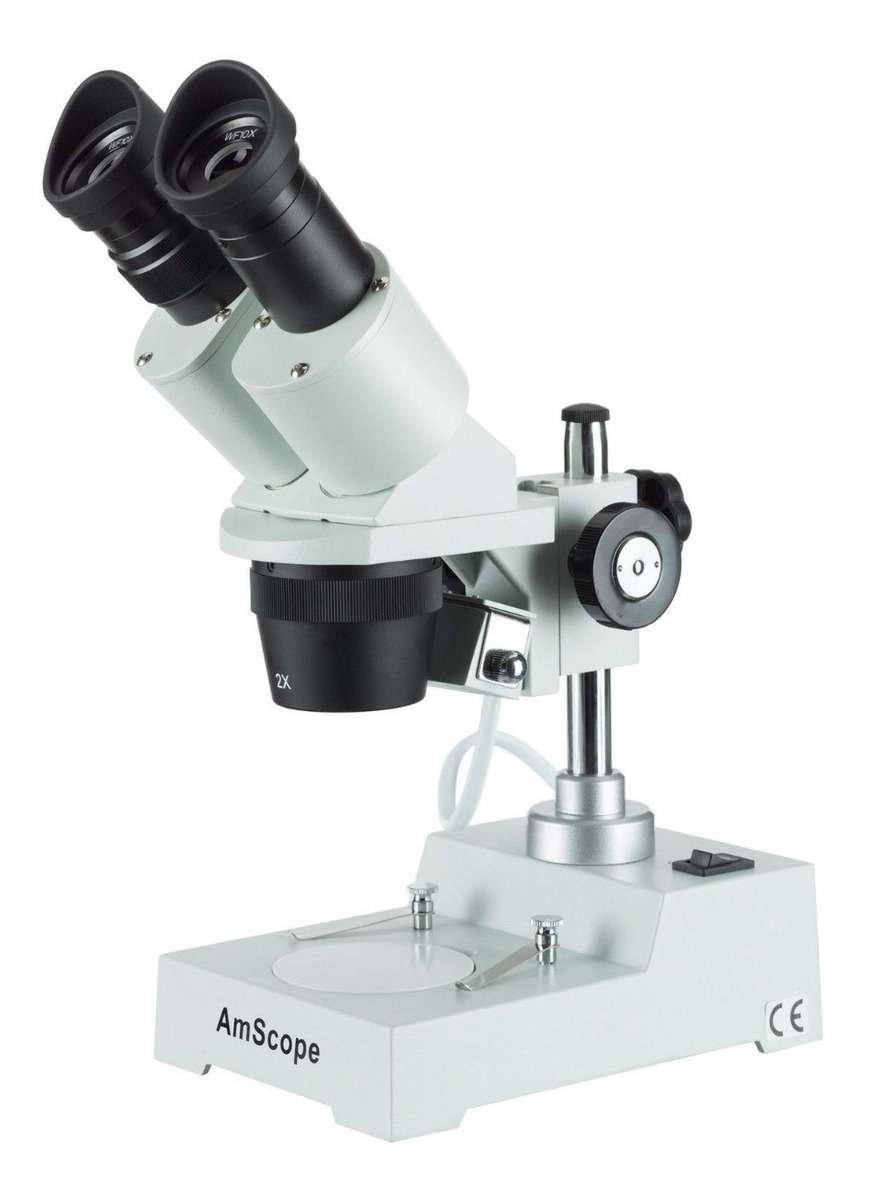 Microscopio Estéreo Amscope 20x-40x SE304R-P