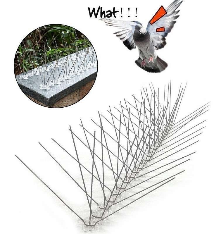 Ahuyentador Chuzos Punzones Agujas2m Plástico Pájaro Paloma - Imagen 2