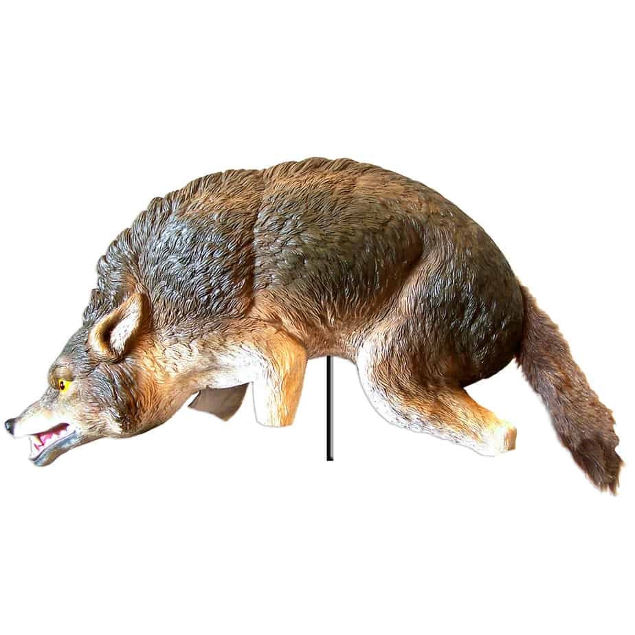 Coyote 3d Depredador Vivo Ahuyenta A Las Aves