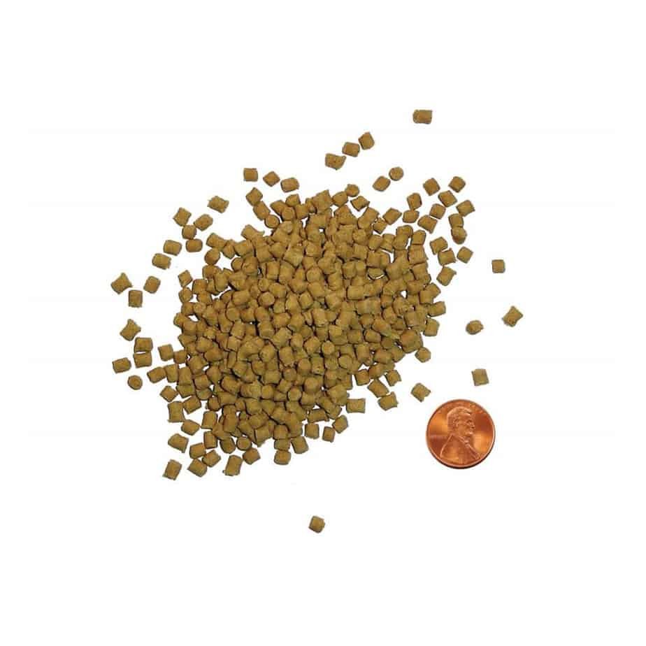 Ovo Control De Aves Reduce Los Huevos De Palomas Por 30 Lbs