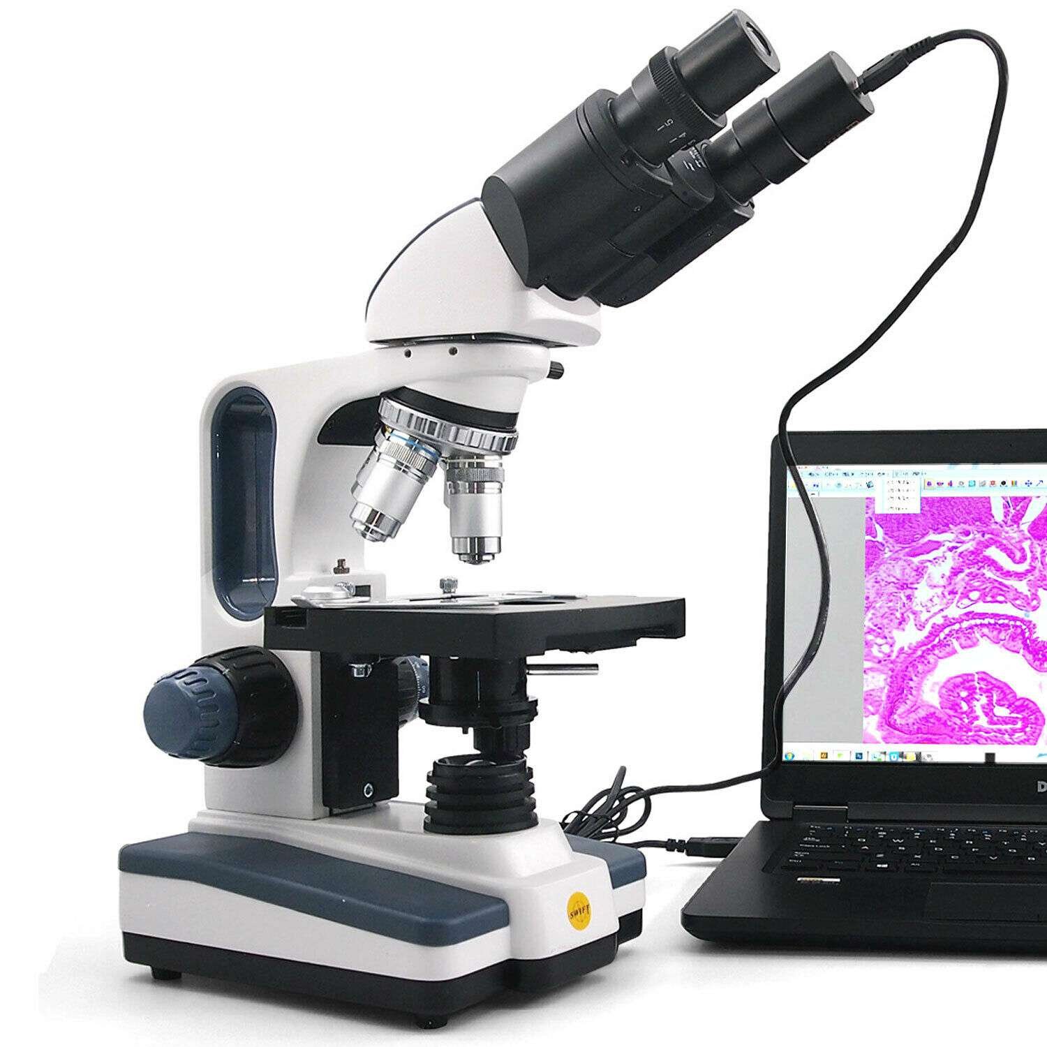 Microscopio de laboratorio Binocular compuesto 40x-2500x + camara 1.3 MP USB digital
