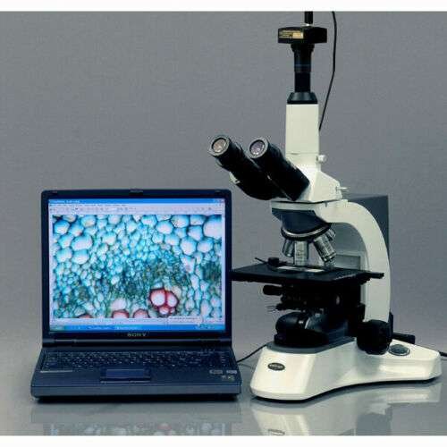 Cámara Digital Amscope Para Microscopio 8 Mp - Imagen 5
