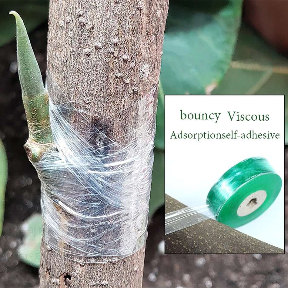 Cintas Para Injertar 3cm X 100 M Jardinería - Imagen 3
