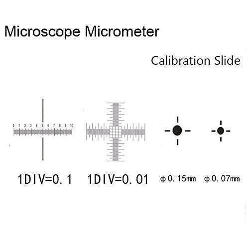 Portaobjetos Bephamart 0,01 Mm Con Regla De Calibración - Imagen 2