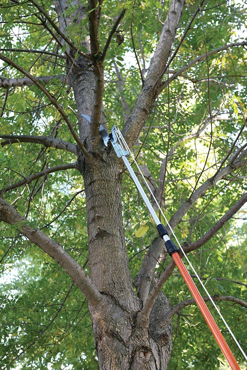 Podadora De Altura 4.8 Metros Fiskars Powerlever Telescopico - Imagen 2