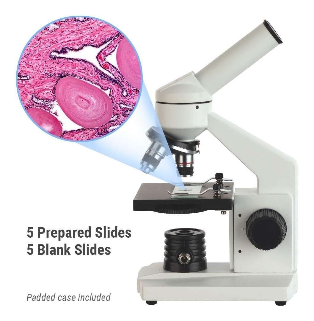 Microscopio, Compuesto Biológico Amscope M102c-pb10 40-1000x - Imagen 2