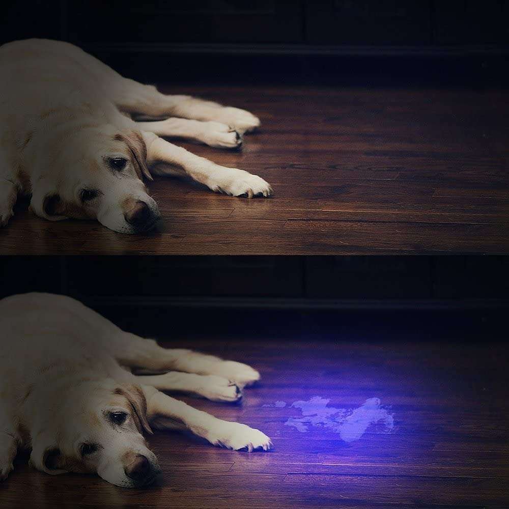 Linterna Vansky Ultravioleta 51 - Leds - Imagen 4