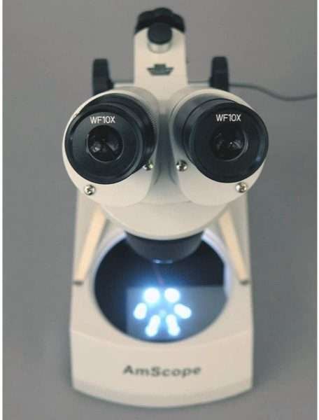 Microscopio Estéreo Binocular Amscope Aumento De 20x Y 40x - Imagen 3