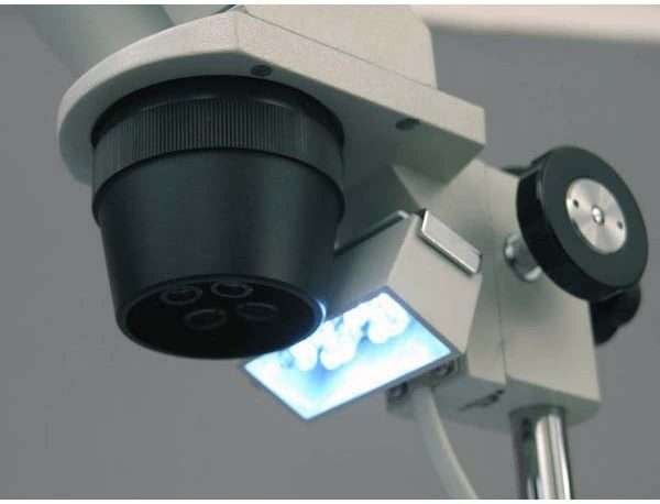 Microscopio Estéreo Binocular Amscope Aumento De 20x Y 40x - Imagen 2