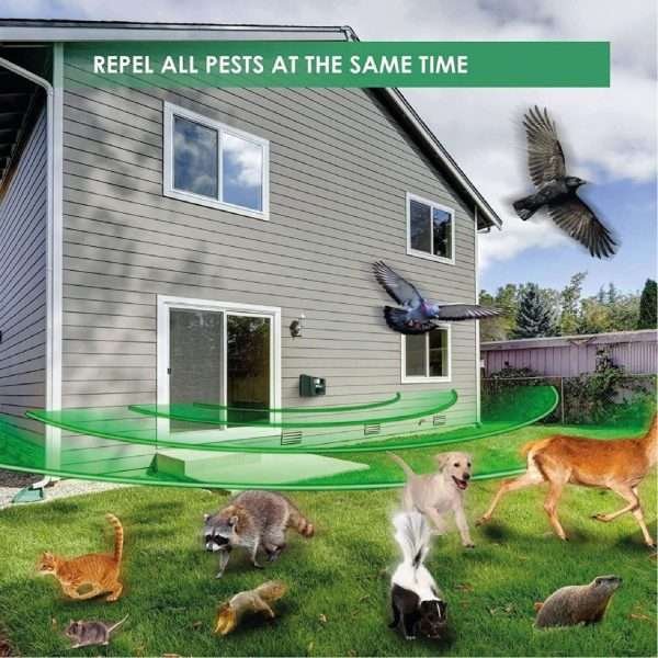Ahuyentador Ultrasónico De Animales Para Exterior, Aspectek - Imagen 3