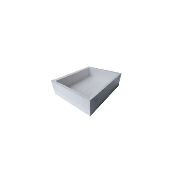 Caja Entomológica – Insectos