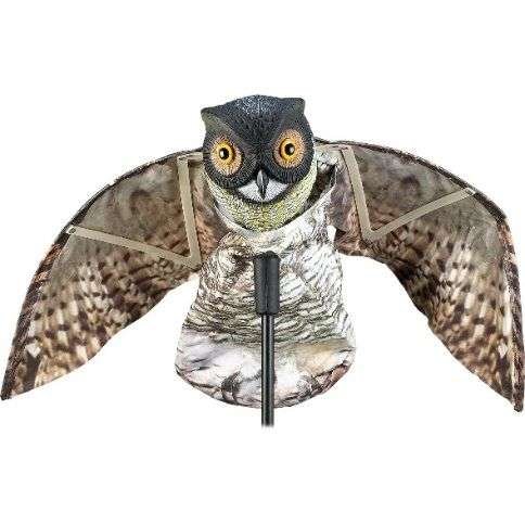 Buho Merodeador para Ahuyentar Aves - Imagen 2
