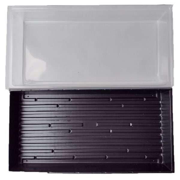 Bandejas Base Germinadoras Vivero 55X29 Con Tapa - Imagen 2