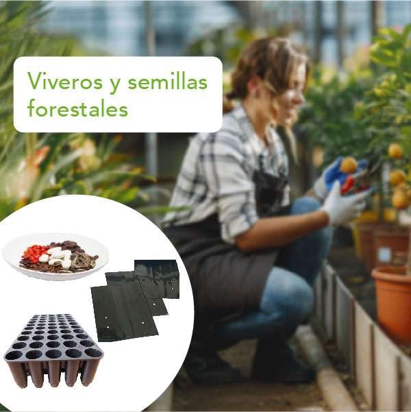 Viveros y semillas forestales