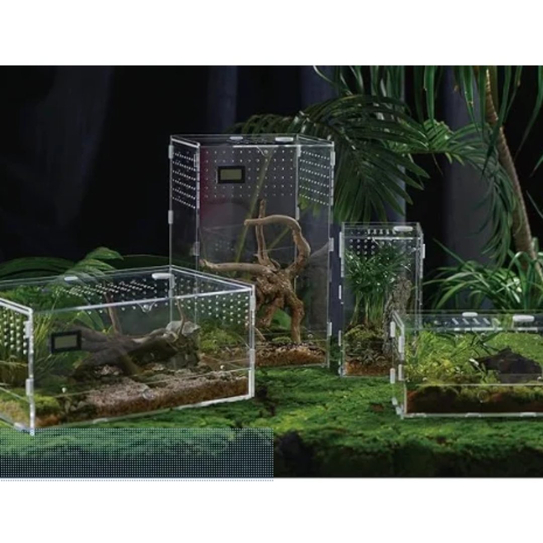 Terrario acrílico transparente de 17,78 × 22,35 × 36,83 cm para observación y manejo de especímenes. Diseño compacto para laboratorio, educación y exhibición.