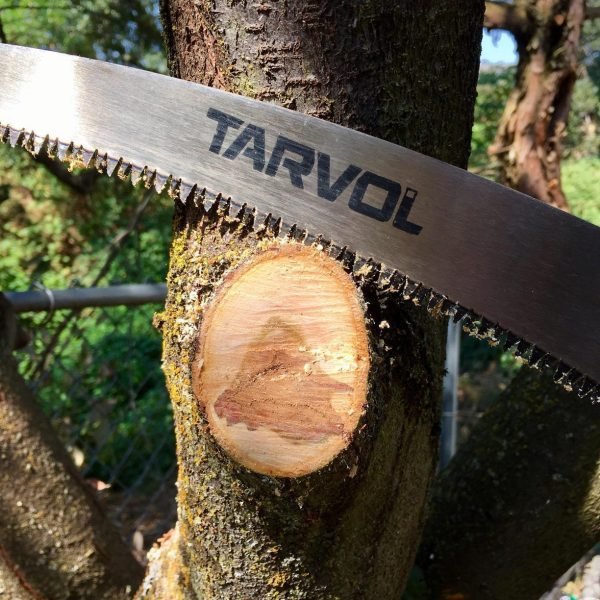 Serrucho de Poda Tarvol 14" - Imagen 2