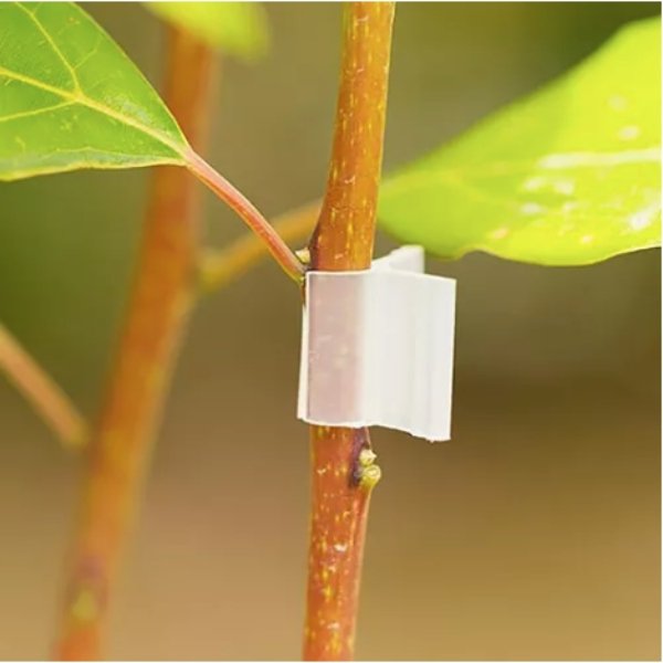 Pinza de plástico para injertos de plantas - Imagen 2