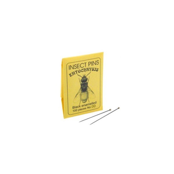 Alfileres De Insectos De Esmalte Negro Caja x 100