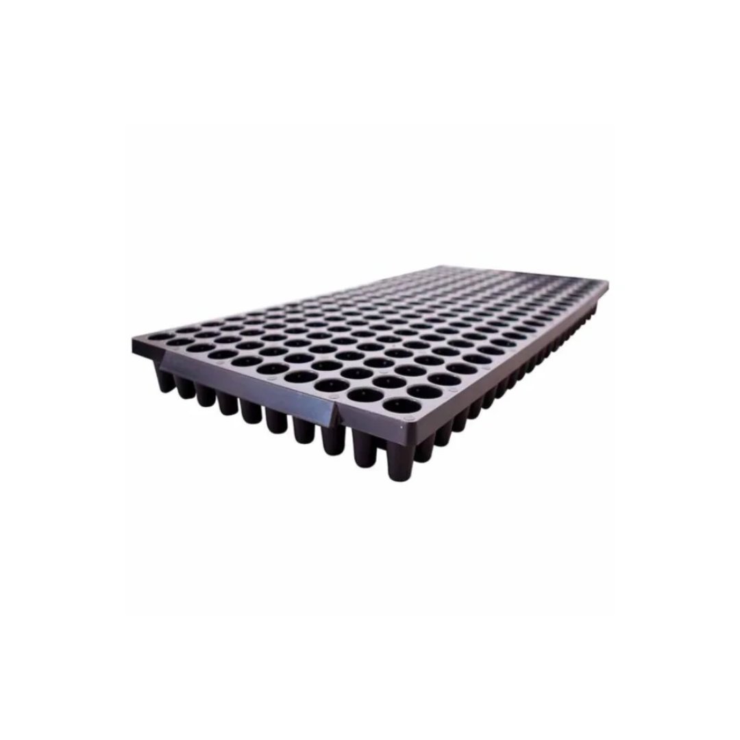 Bandeja germinadora forestal de 200 cavidades para semillas y plantulación. Solución para organizar la germinación y producción de plántulas en viveros.