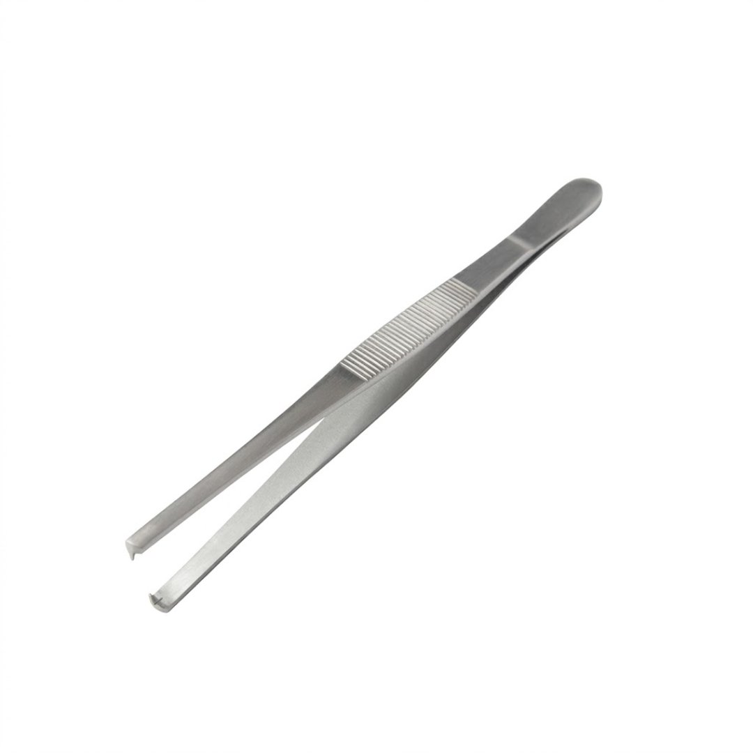 Pinza para entomología recta con diente de 14 cm, diseñada para sujetar y manipular insectos y especímenes pequeños con precisión.