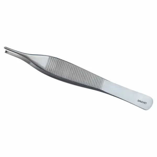 Pinza Fina Con Diente 12 cm Entomología - Imagen 5