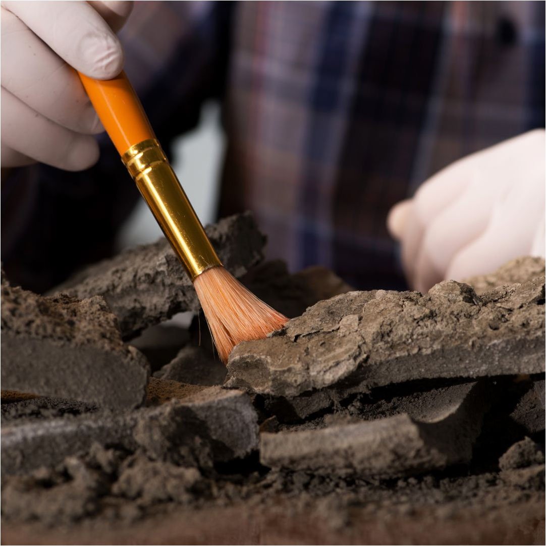 Arqueología