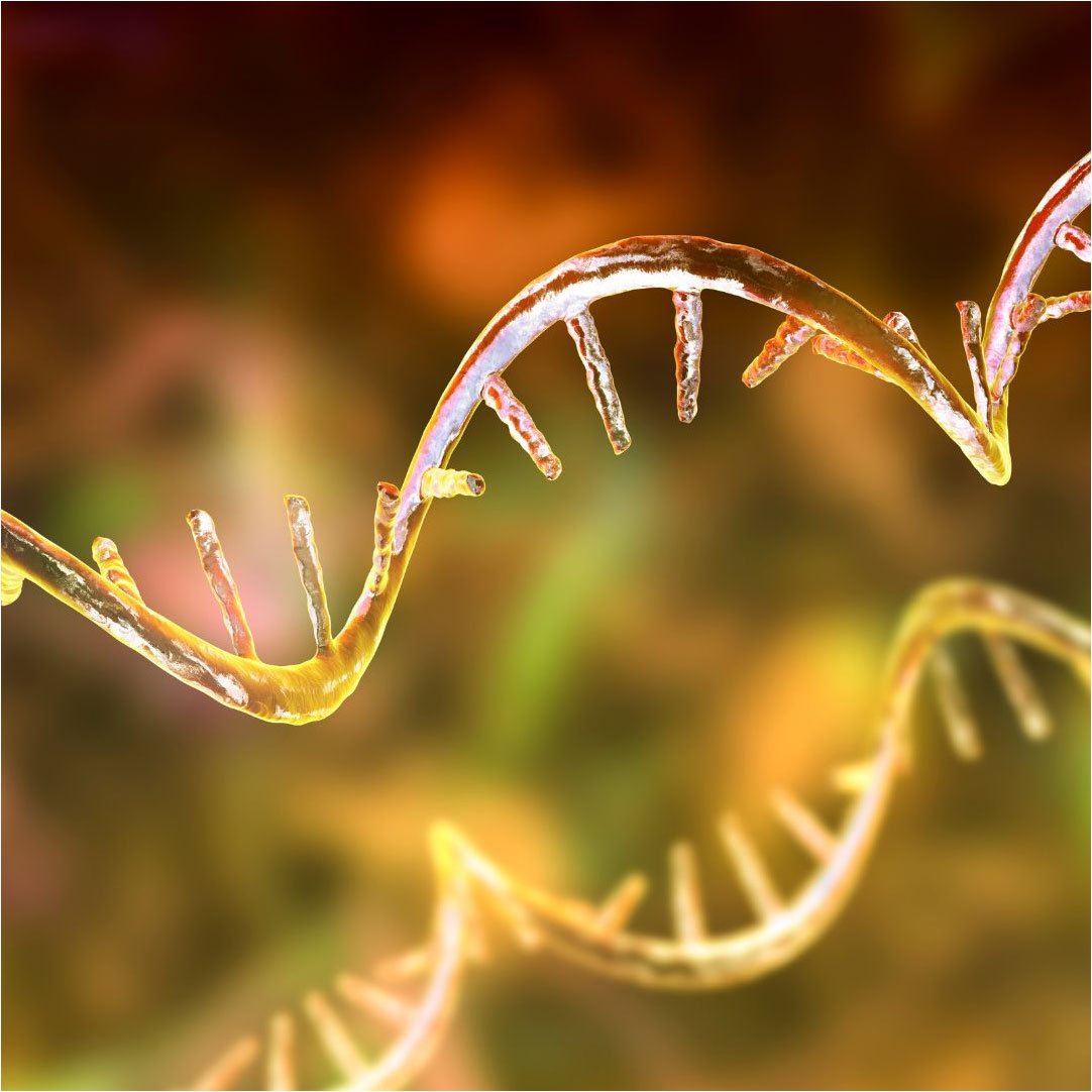 Extracción ADN, ARN y Proteínas