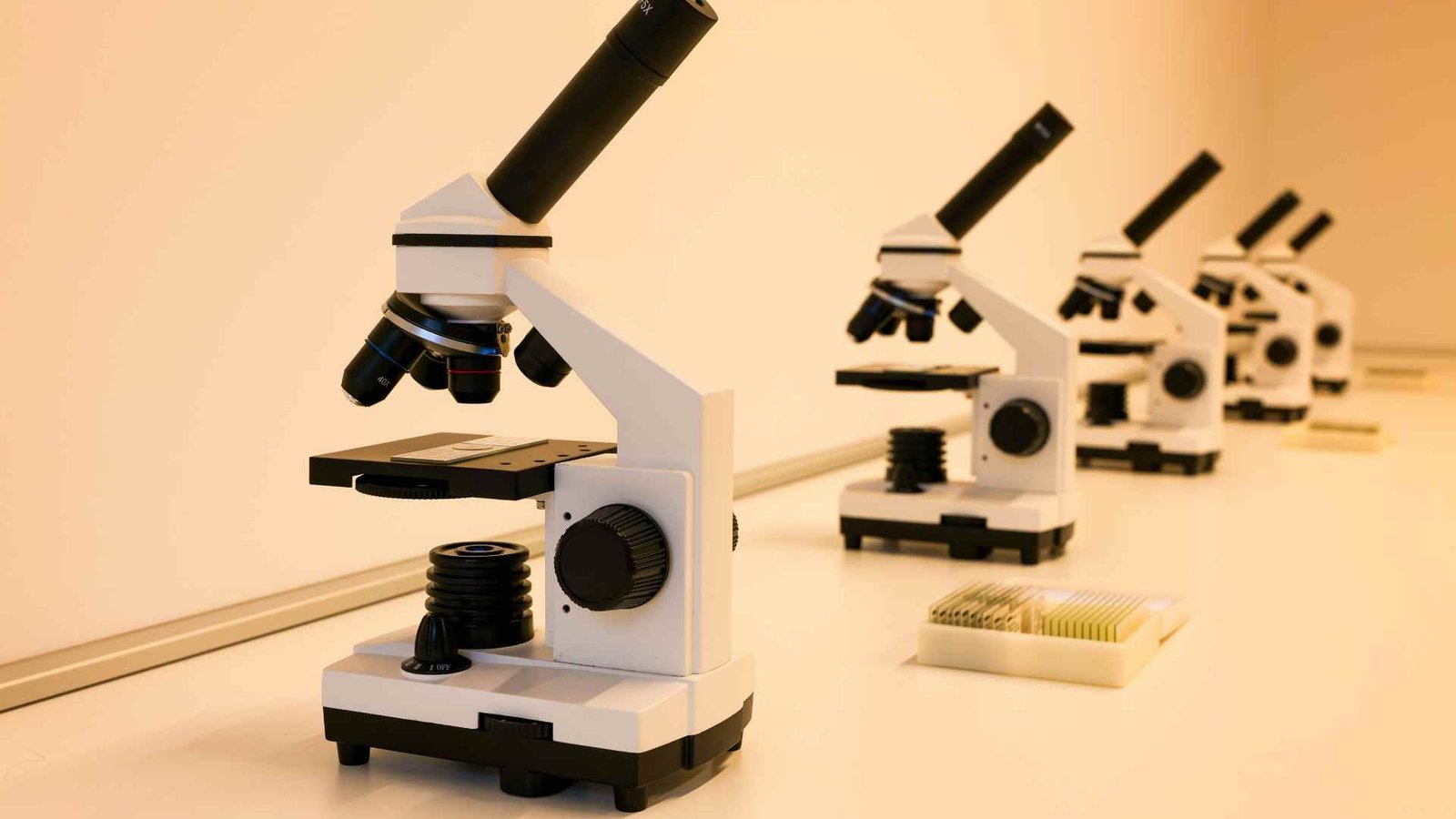 Todo lo que Necesitas Saber Antes de Comprar tu Primer Microscopio