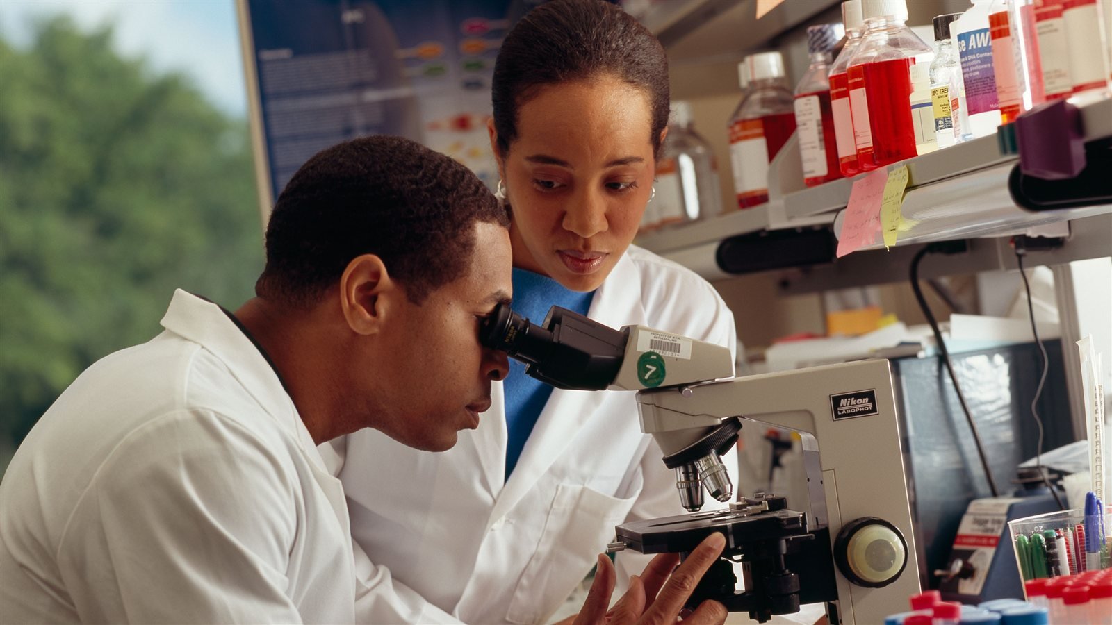 Dos investigadores de laboratorio observando una muestra con microscopio